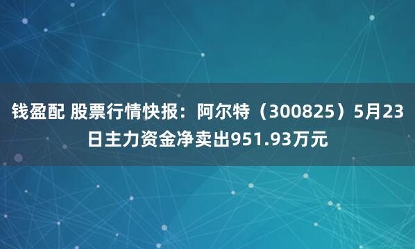 钱盈配 股票行情快报：阿尔特（300825）5月23日主力资金净卖出951.93万元