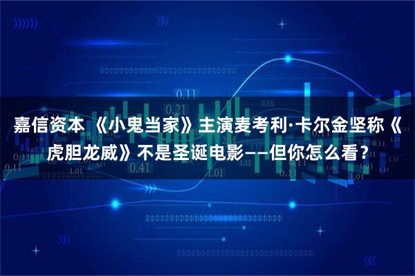 嘉信资本 《小鬼当家》主演麦考利·卡尔金坚称《虎胆龙威》不是圣诞电影——但你怎么看？