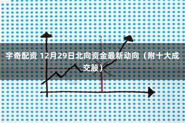 宇奇配资 12月29日北向资金最新动向（附十大成交股）