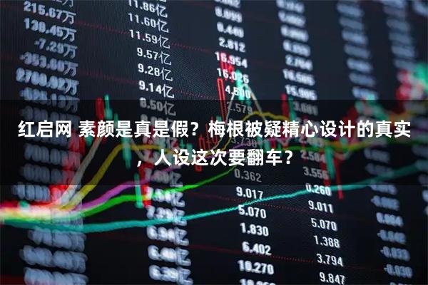 红启网 素颜是真是假？梅根被疑精心设计的真实，人设这次要翻车？